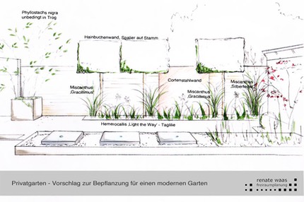 Pflanzplanung Moderner-Garten Sichtschutzelemente Bepflanzung