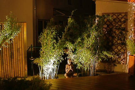Speier gross Buddha nachts Bambus Sichtschutzwand